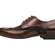 Asher Green Footwear Mens Brown Genuine Leather and Waxy Suede Wingtip Oxford Dress Shoe : AG1034-065