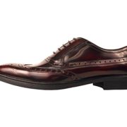 Asher Green Mens Classic Burgundy Genuine Box Calf Leather Wingtip Oxford Dress Shoe: Style AG7327-175